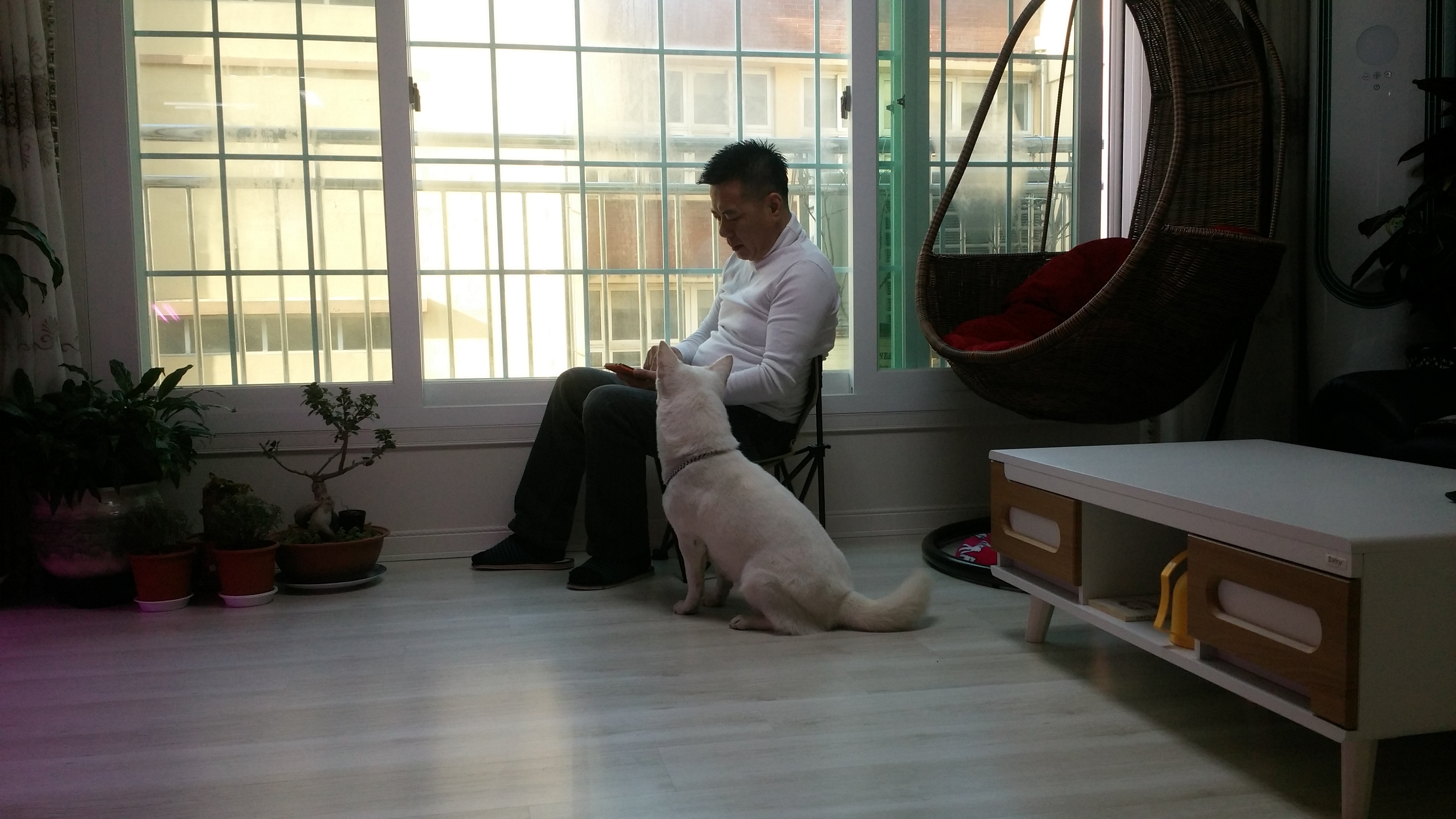 리나 3번째 입양 후기에요~