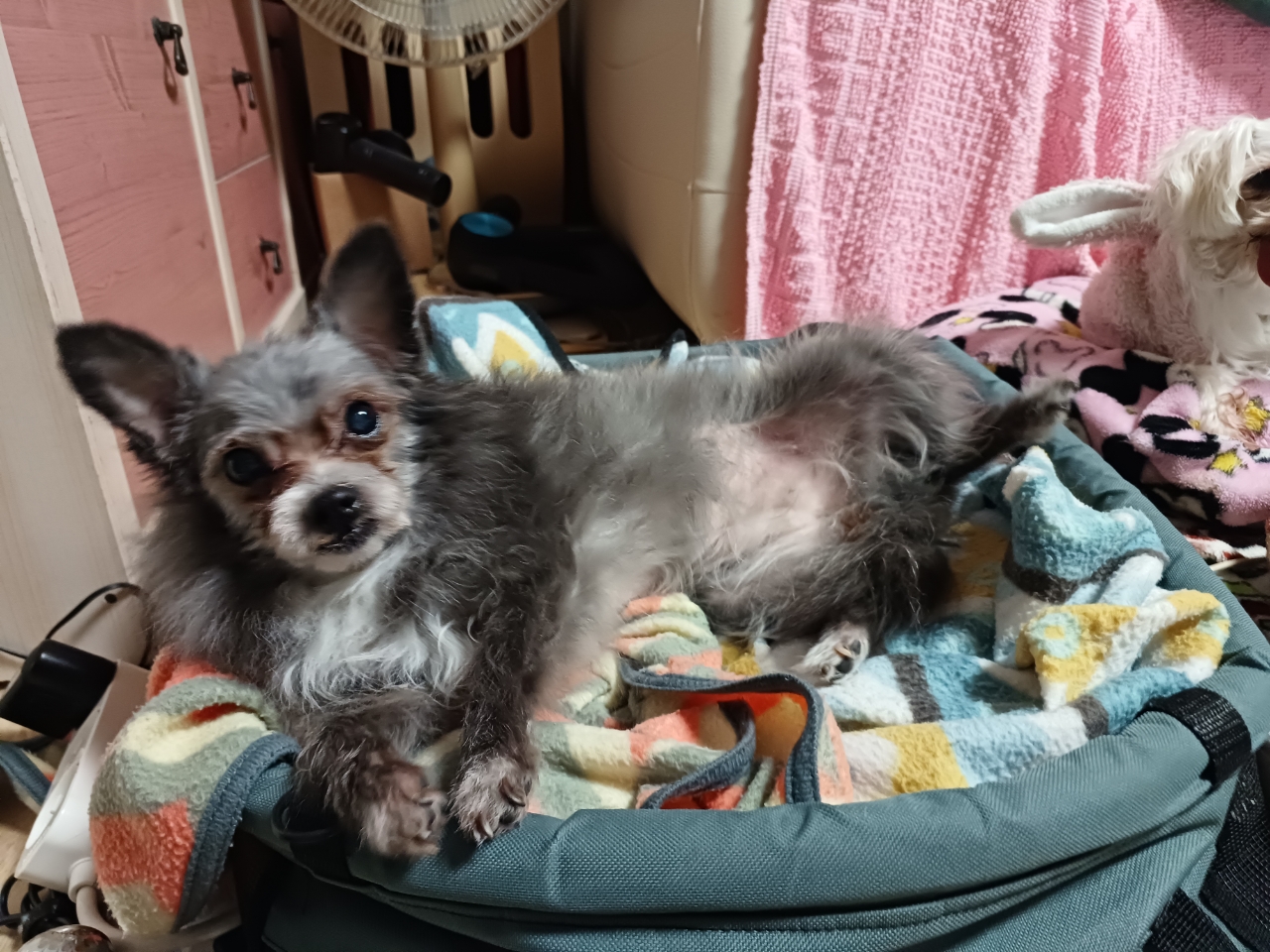 소피 잘지내고 있어요~