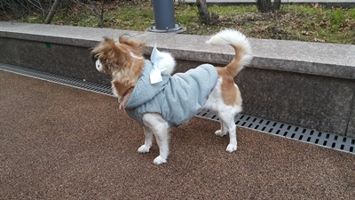 보리 일상을 공개합니다^^