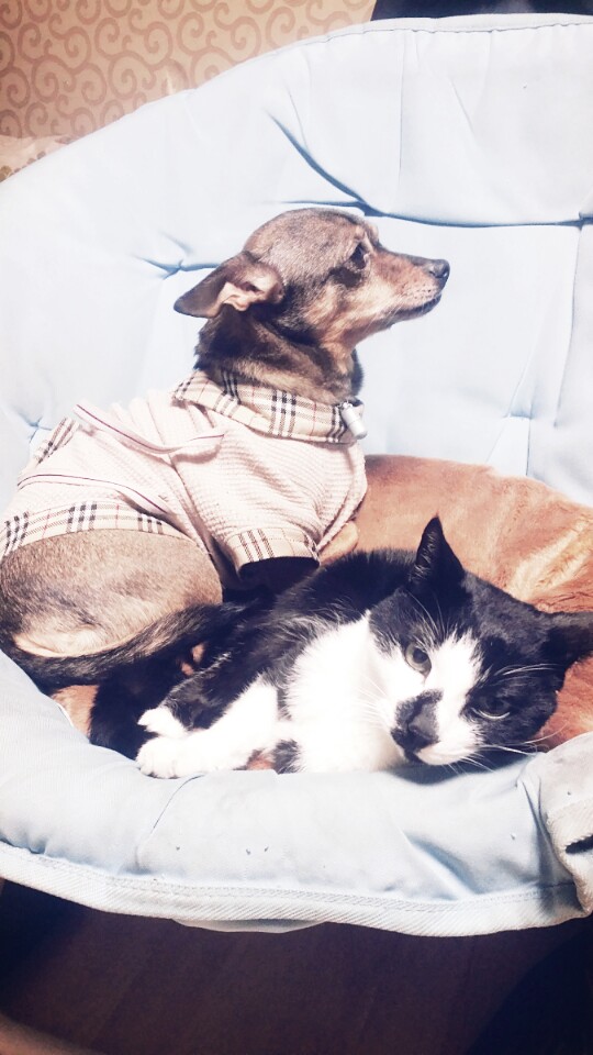 안녕하세요~ 졸리입니다 ^^