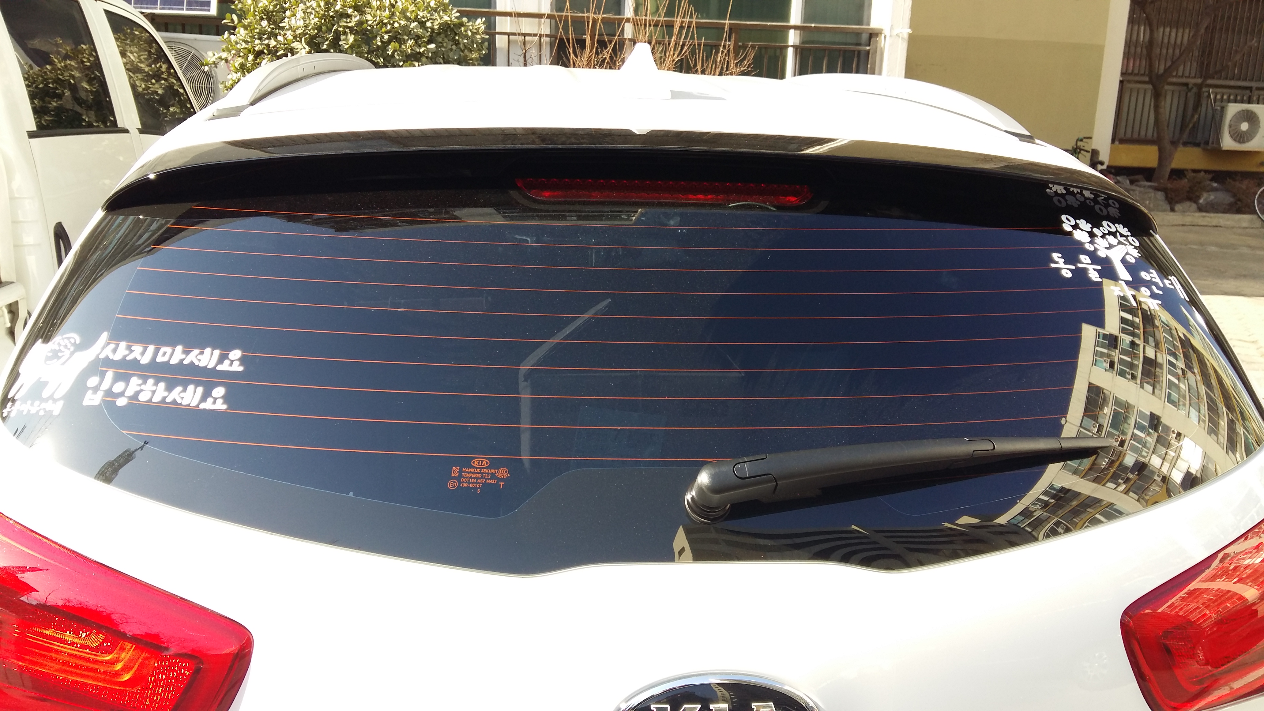 깜이 (구 밍밍이) 입양후기3