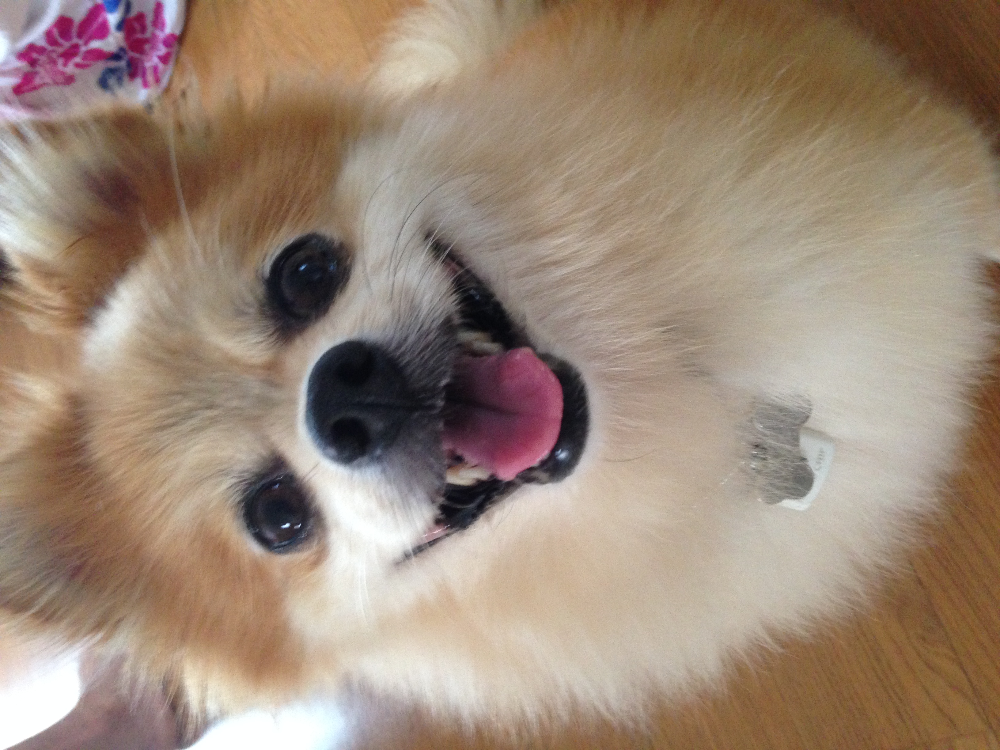 삼식이 너무 오랜만이죠?ㅠㅠ