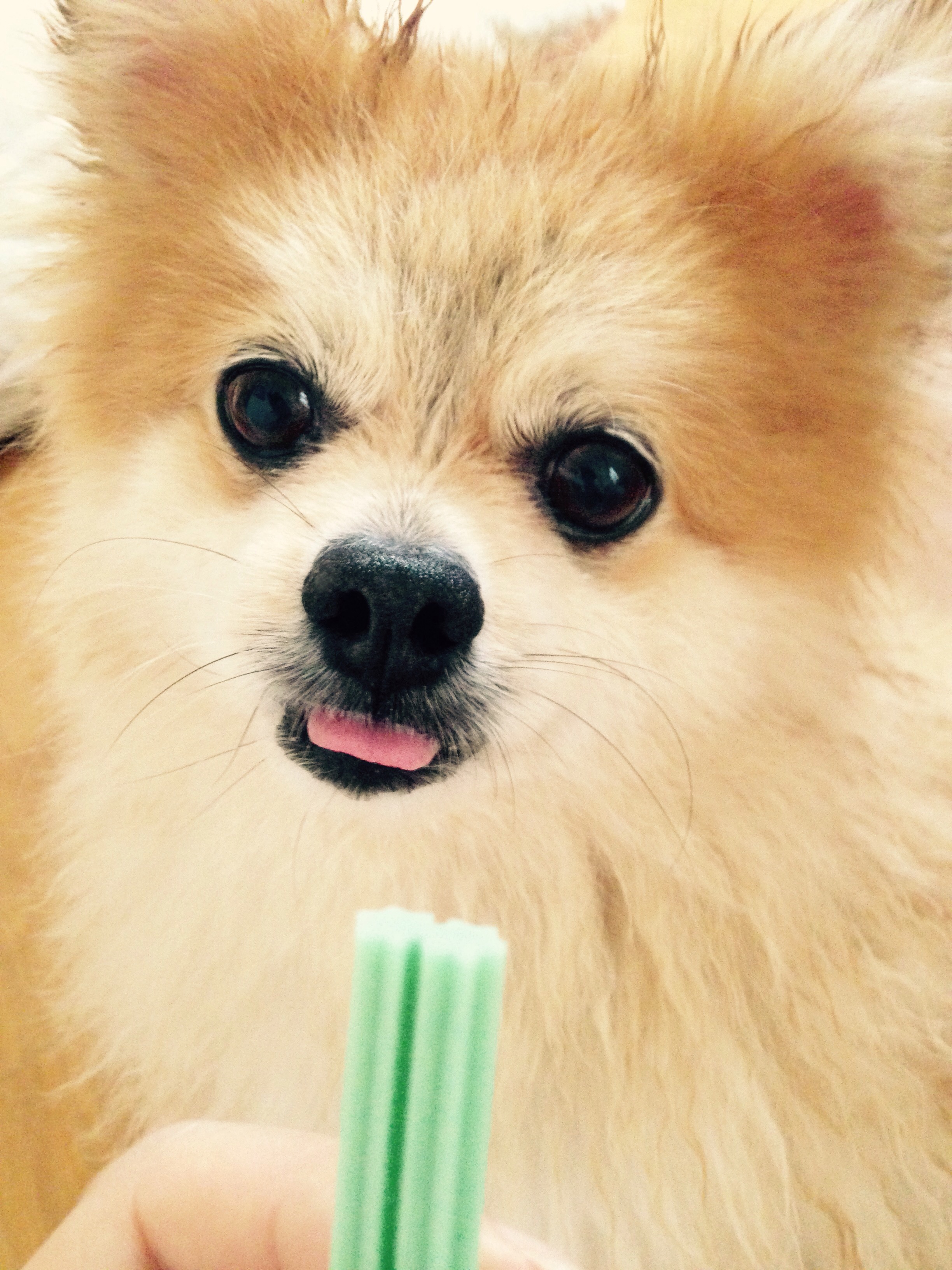 삼식이 너무 오랜만이죠?ㅠㅠ