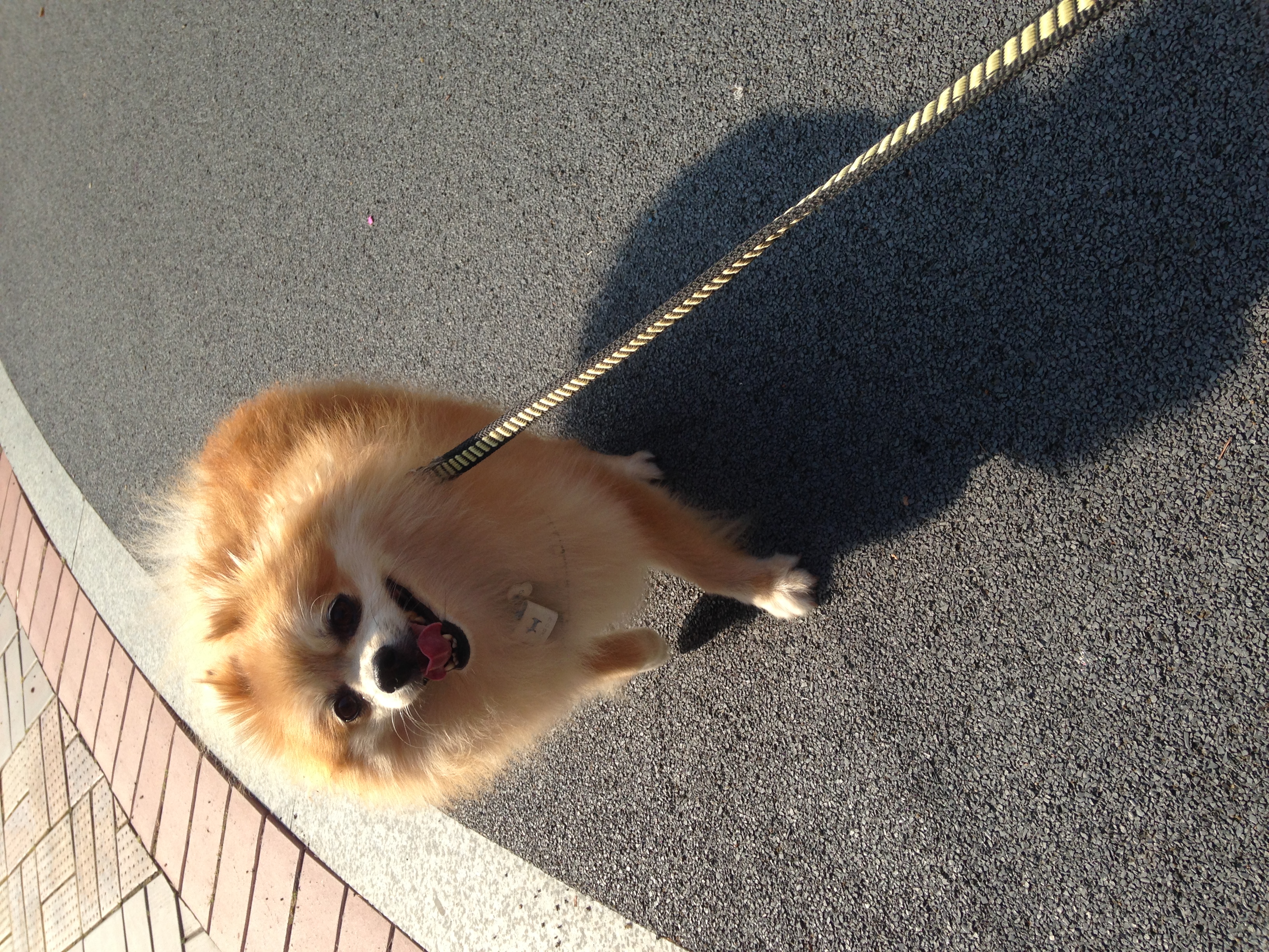 삼식이 너무 오랜만이죠?ㅠㅠ