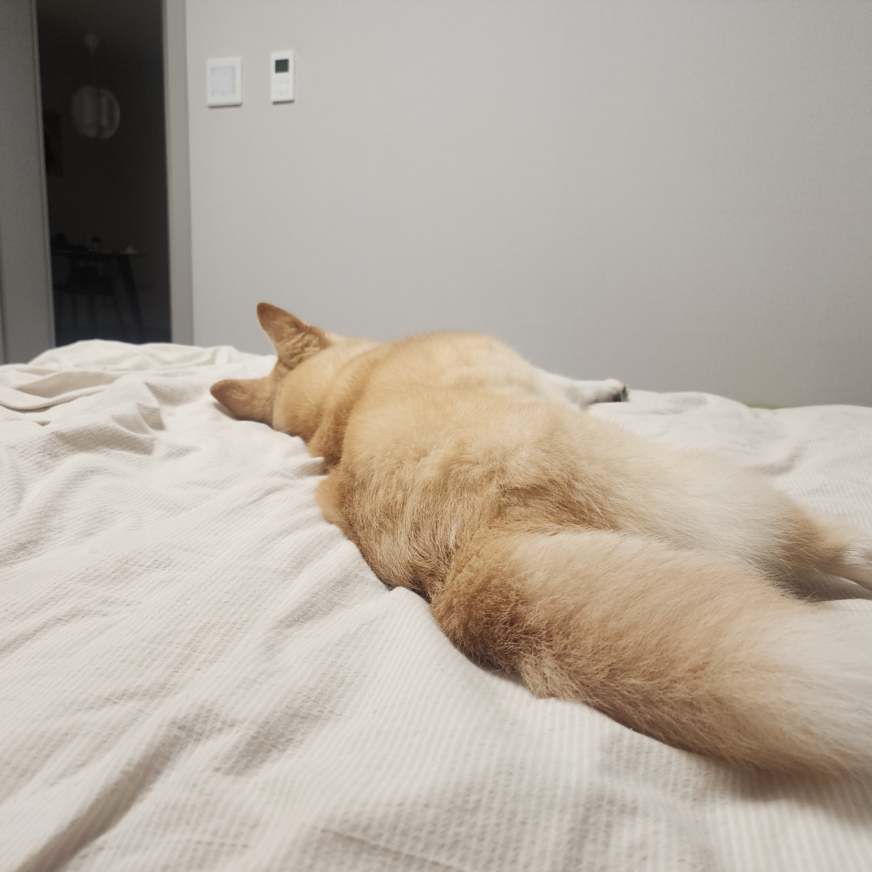 해피추석! 오랜만에 레이입니다:)