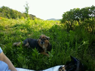 정왕이의 어린이날♥