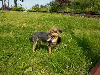 정왕이의 어린이날♥