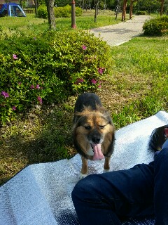 정왕이의 어린이날♥