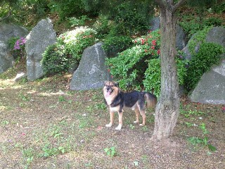 정왕이의 어린이날♥