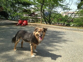 정왕이의 어린이날♥