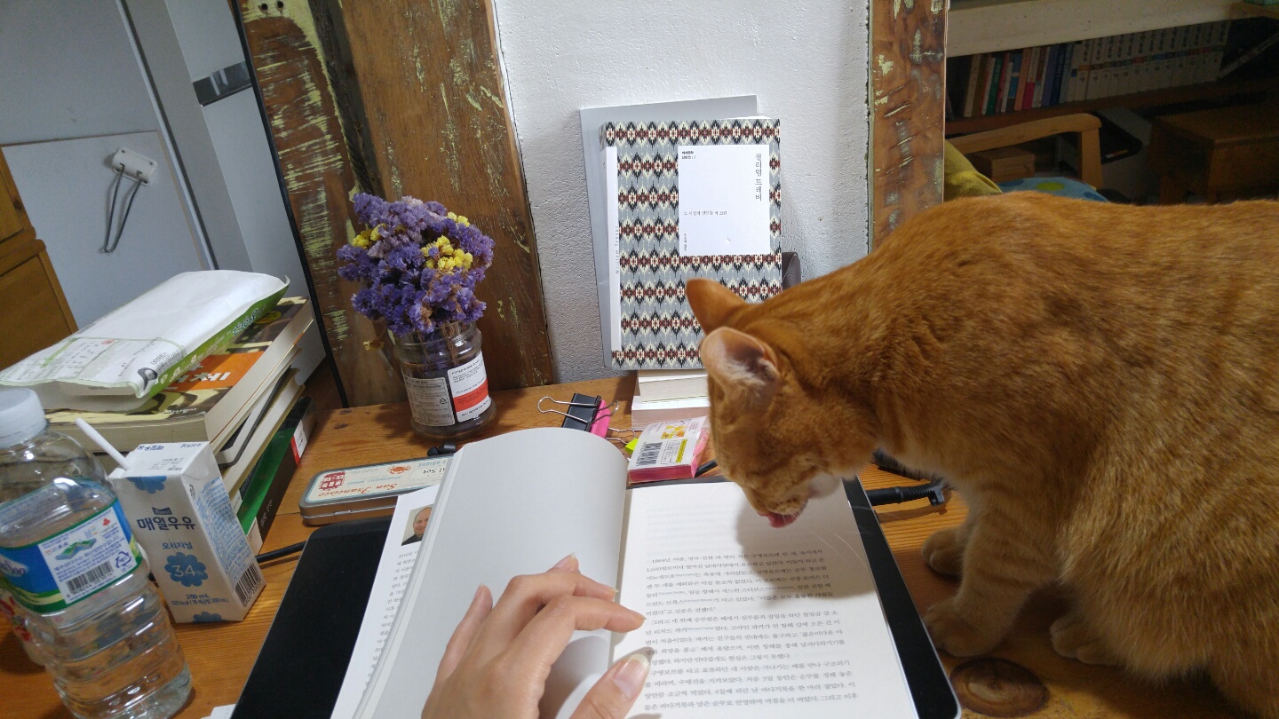 어버이날 제주 사는 장화의 효도 선물은...