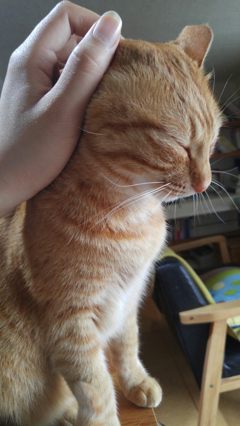 어버이날 제주 사는 장화의 효도 선물은...