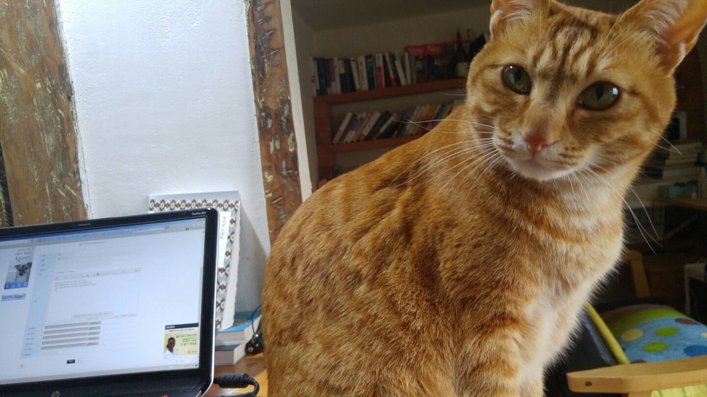 어버이날 제주 사는 장화의 효도 선물은...