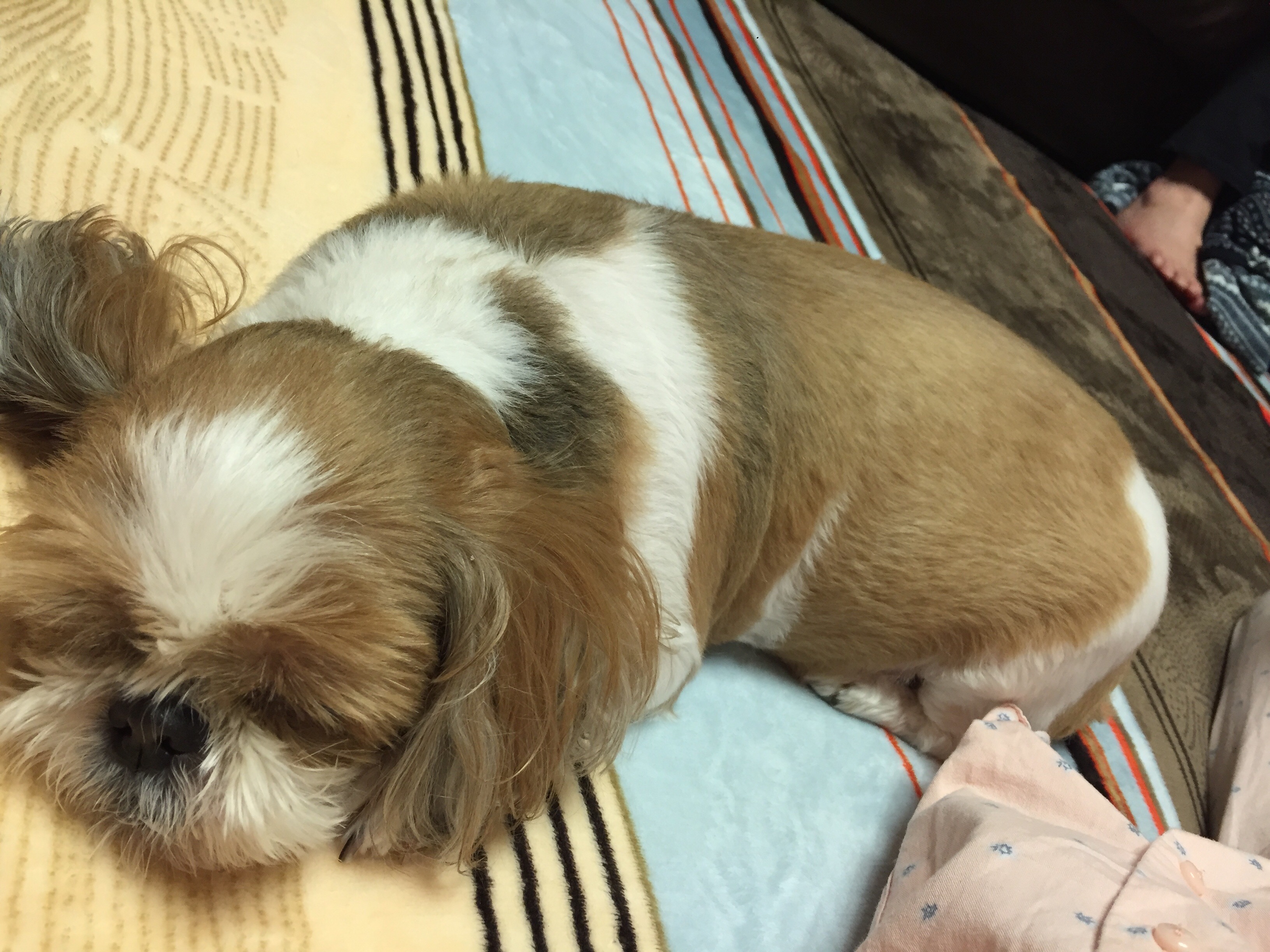 뚜비 근황입니다~