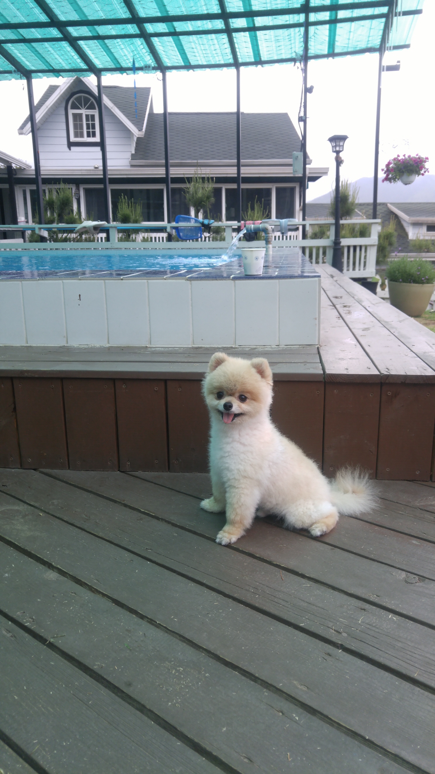 치콘이 세번째 이야기^^