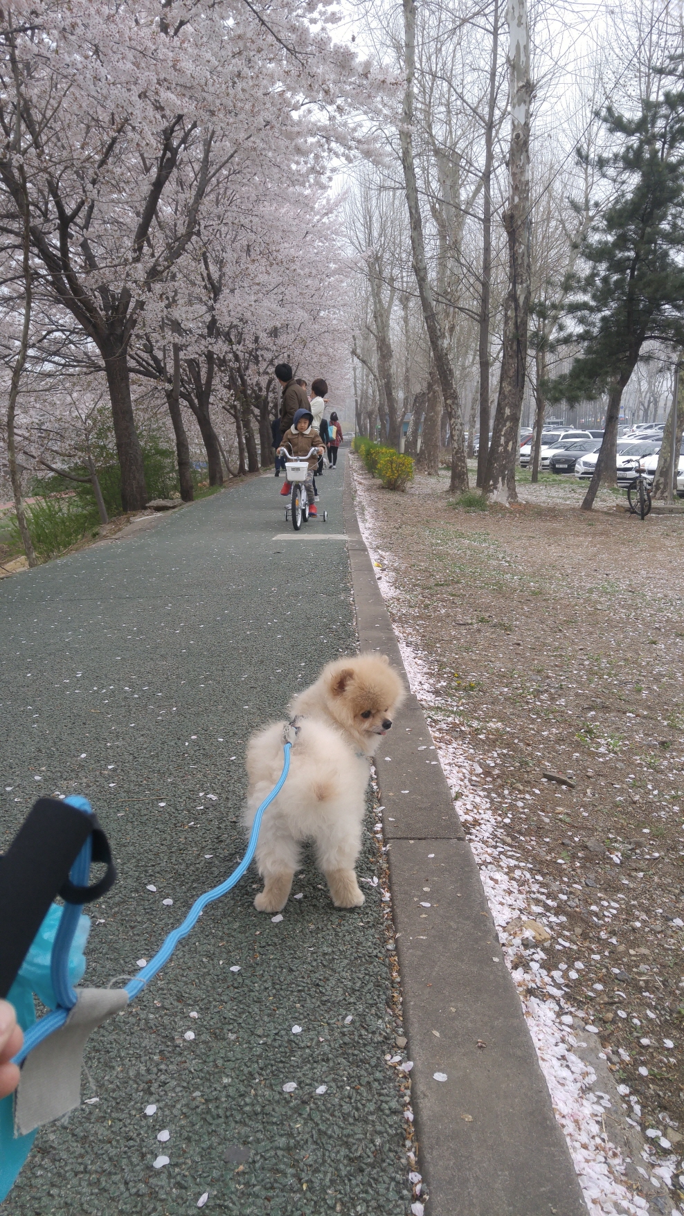 치콘이 세번째 이야기^^