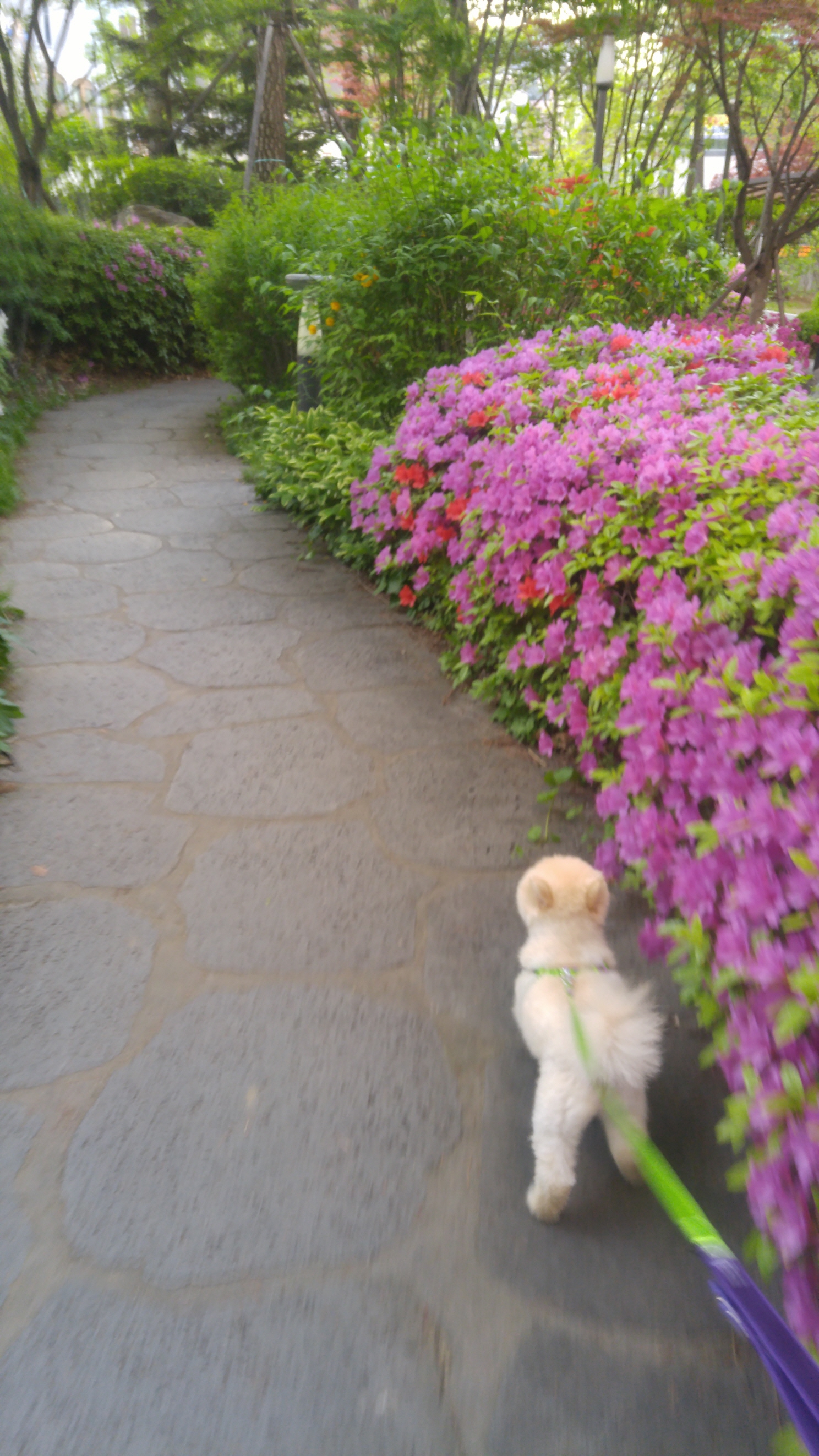 치콘이 세번째 이야기^^