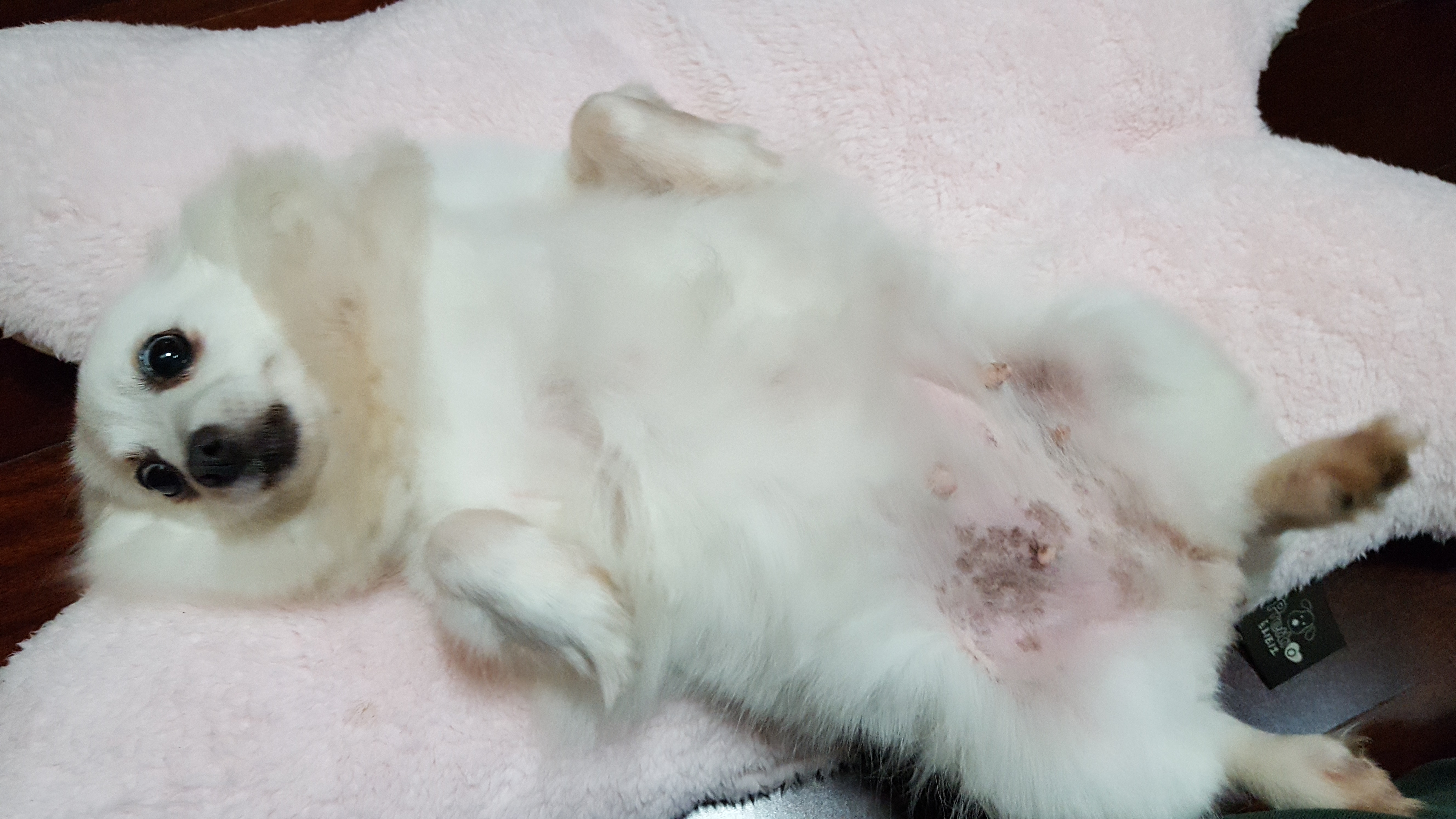 햇살이 사진 올립니다