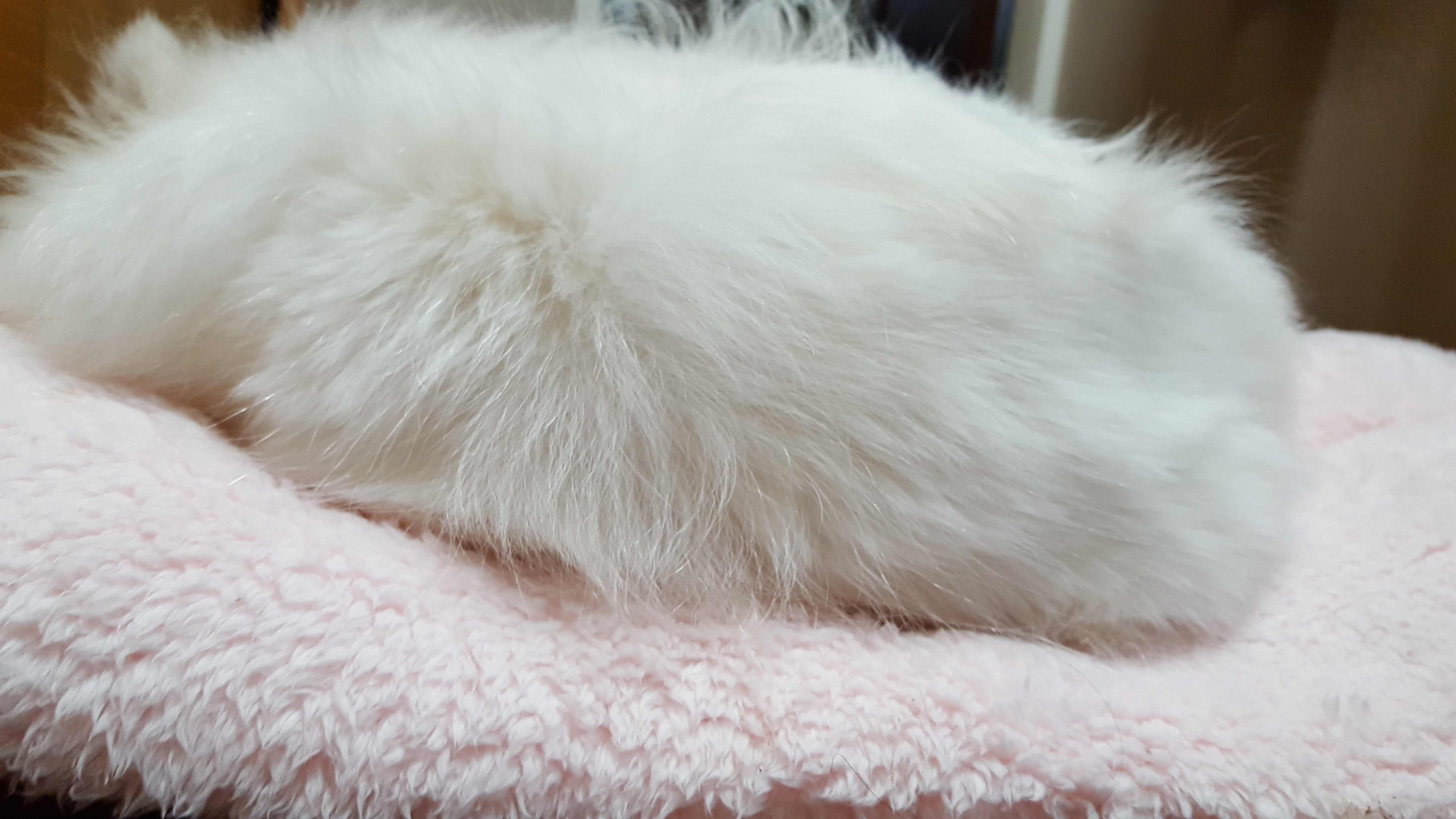 햇살이 사진 올립니다