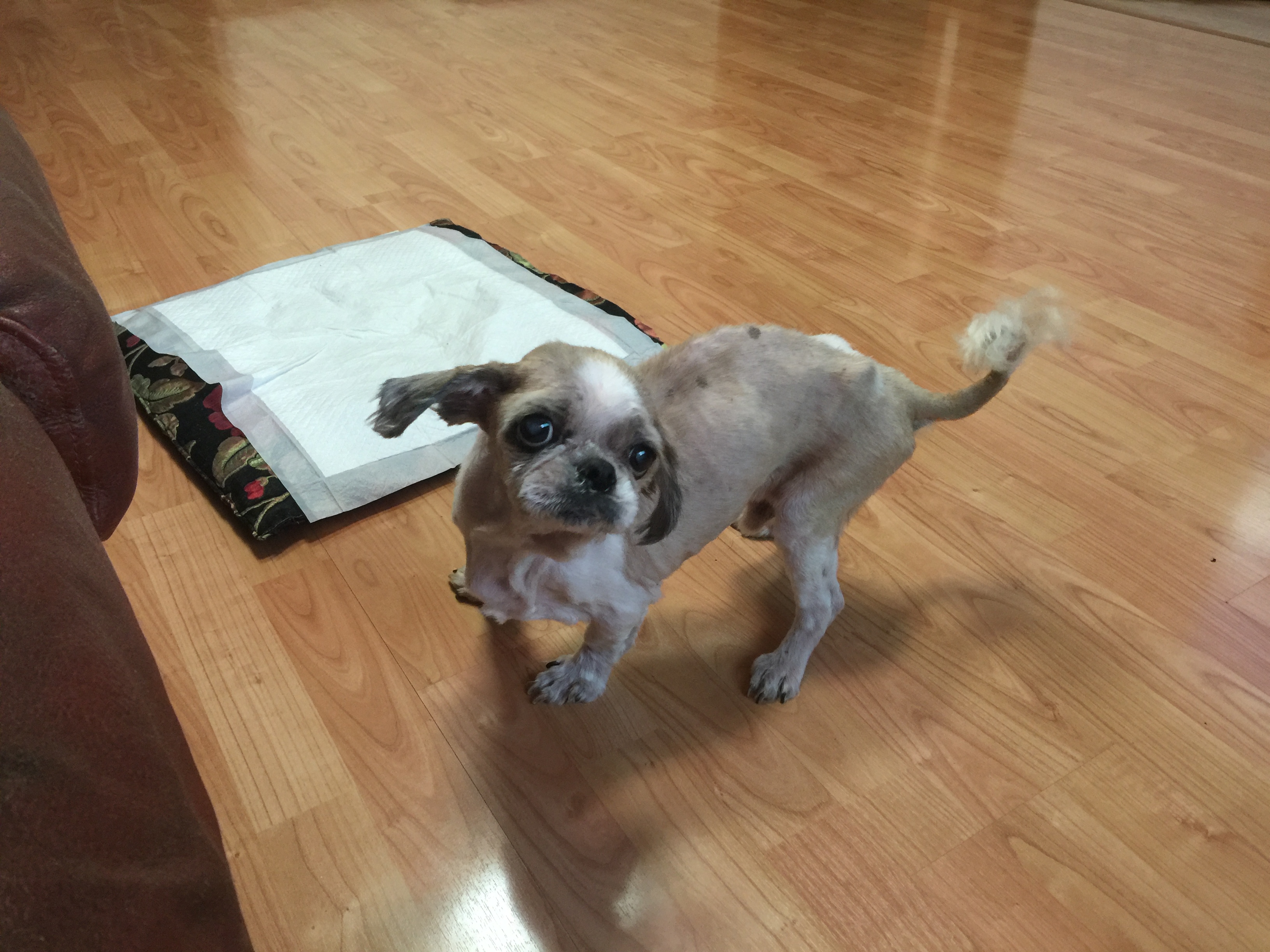 노장 쭈 사진 몇장 올려요. 