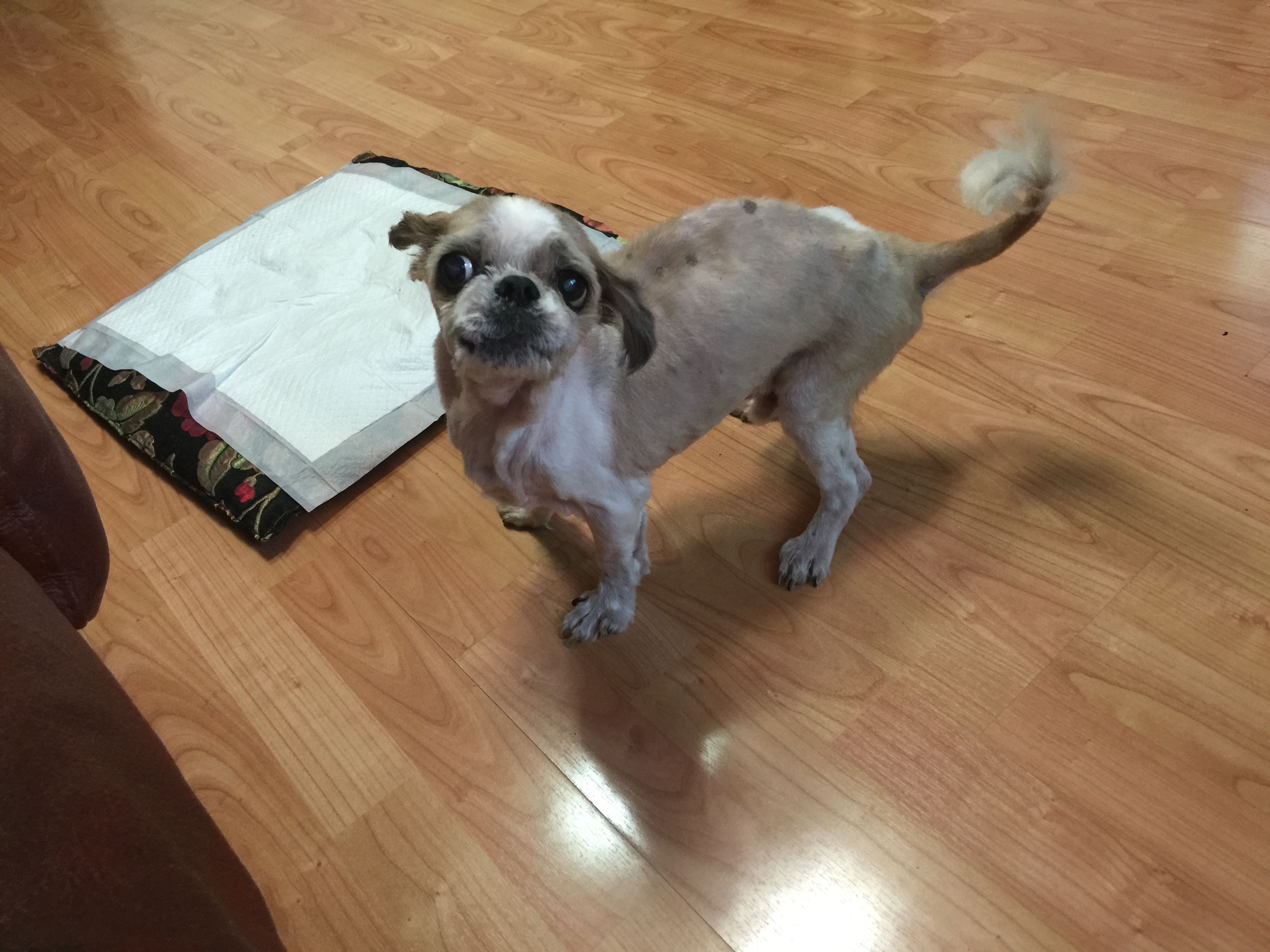 노장 쭈 사진 몇장 올려요. 