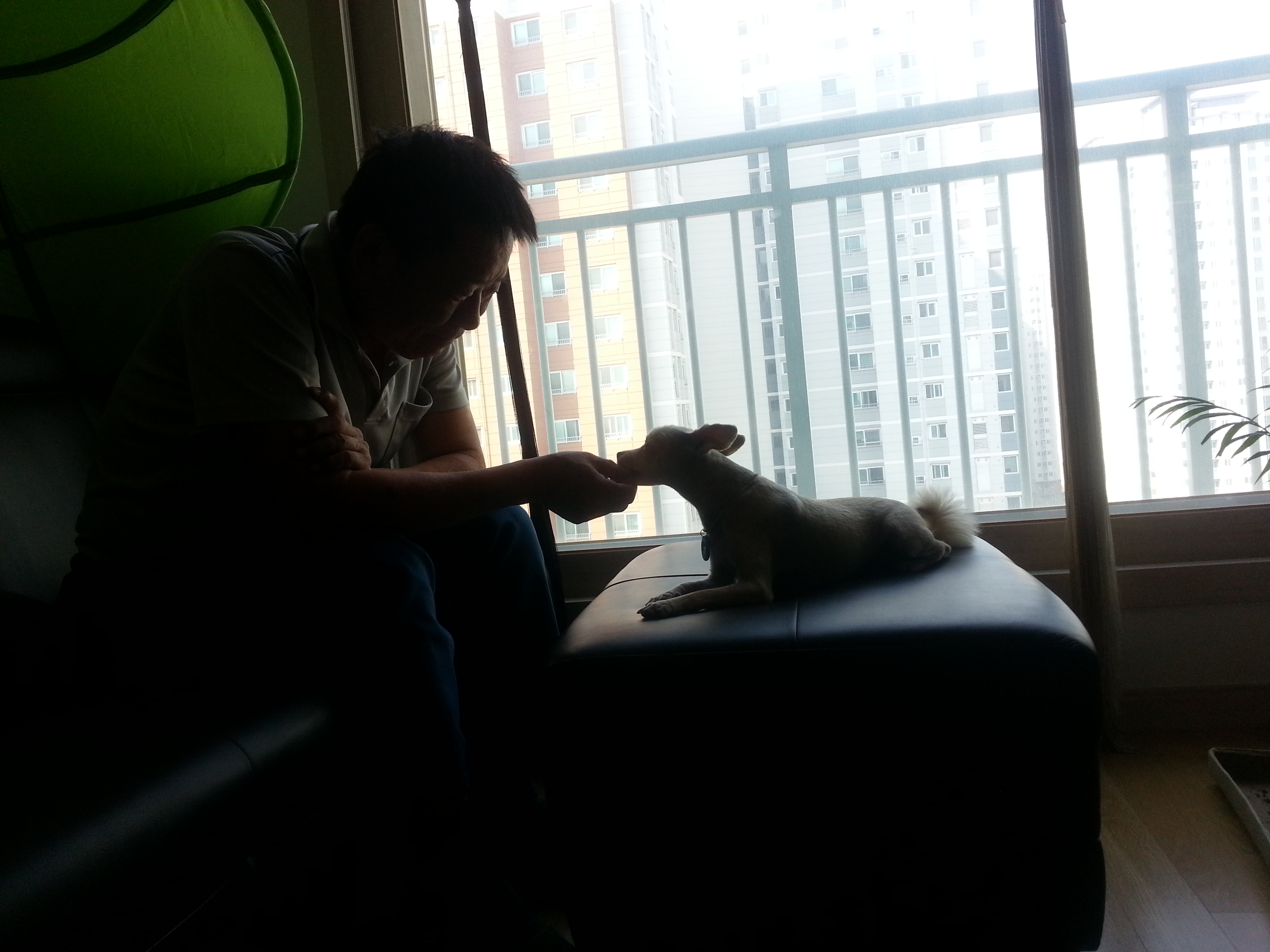 봄(슈크림)은 사슴이 되었습니다.