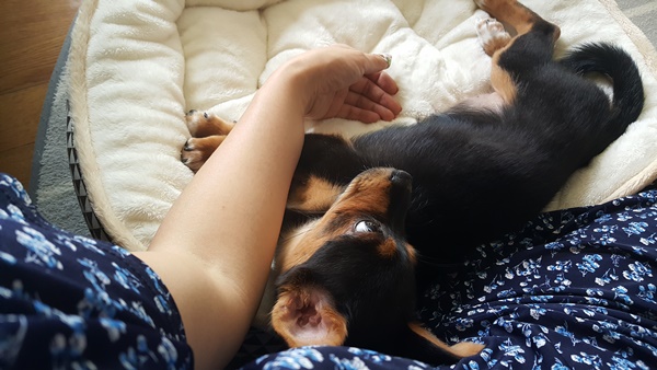 가인이 가족된지 4일째 너무 잘 지냅니다^^! 