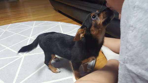 가인이 가족된지 4일째 너무 잘 지냅니다^^! 