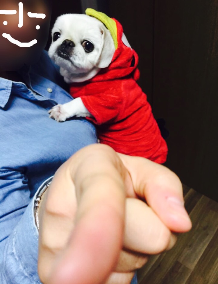 안녕하세요. (로미오)제제입니다.