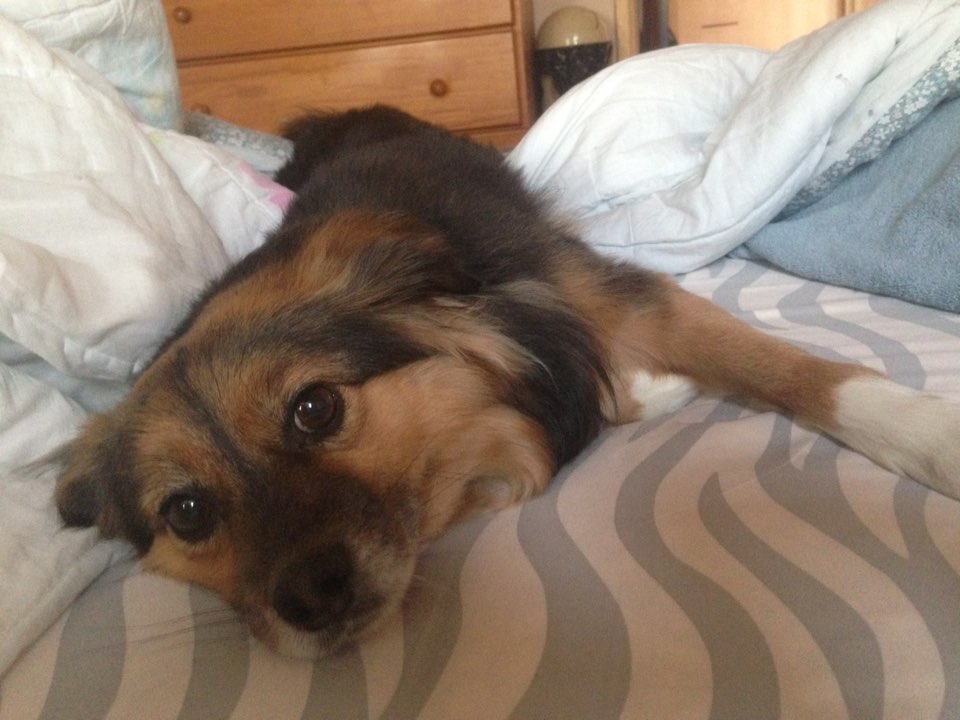 정왕이의 힐링타임~♥