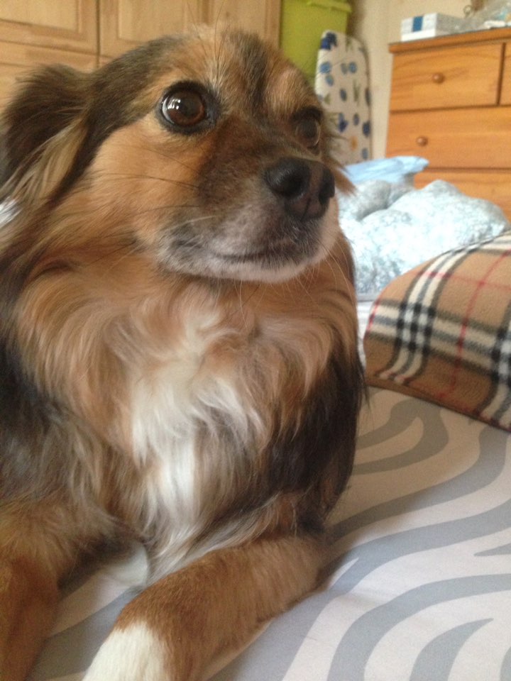 정왕이의 힐링타임~♥