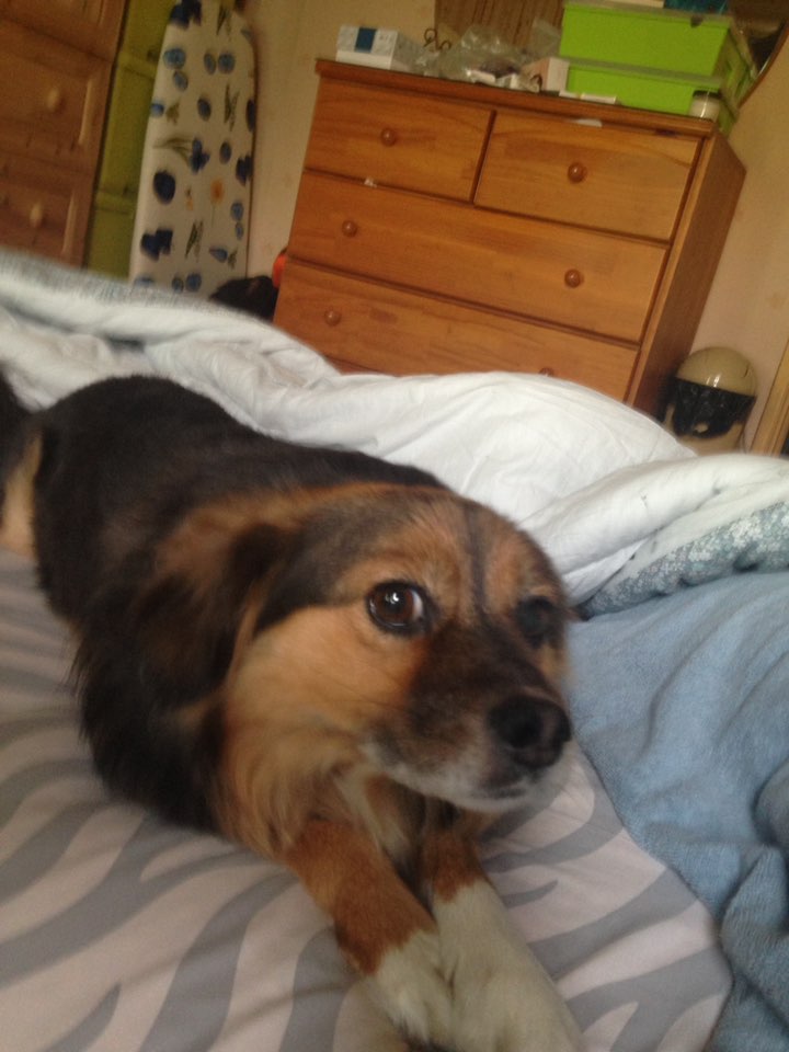 정왕이의 힐링타임~♥