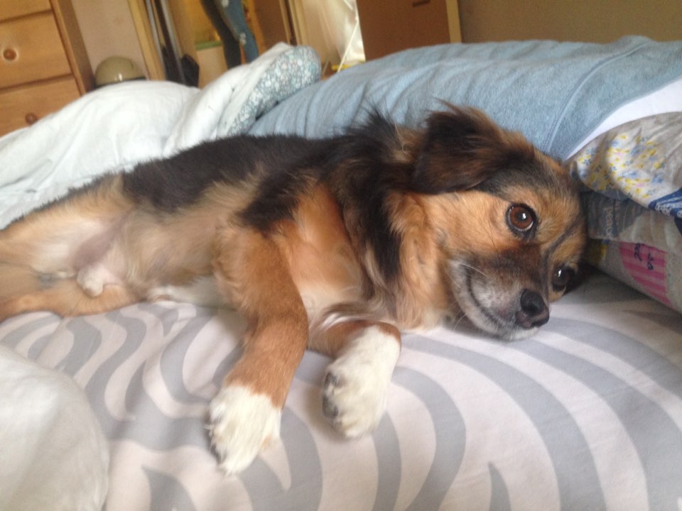 정왕이의 힐링타임~♥