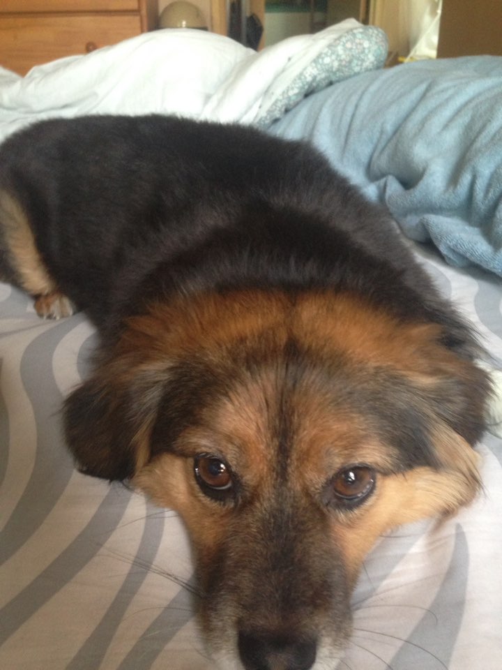 정왕이의 힐링타임~♥