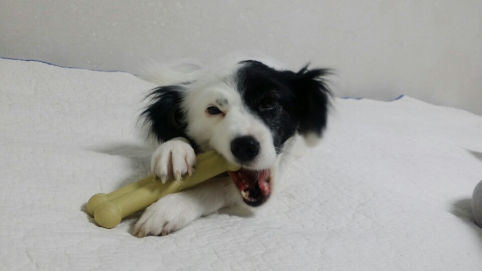 ♥두렁 두렁♥ 두렁이 소식 올립니다~~