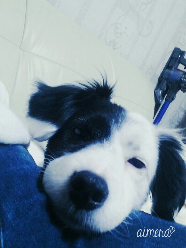 ♥두렁 두렁♥ 두렁이 소식 올립니다~~