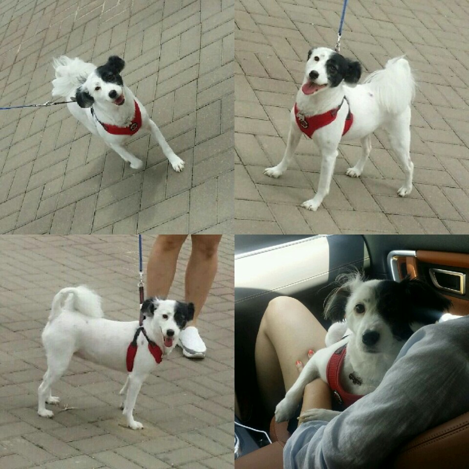 ♥두렁 두렁♥ 두렁이 소식 올립니다~~