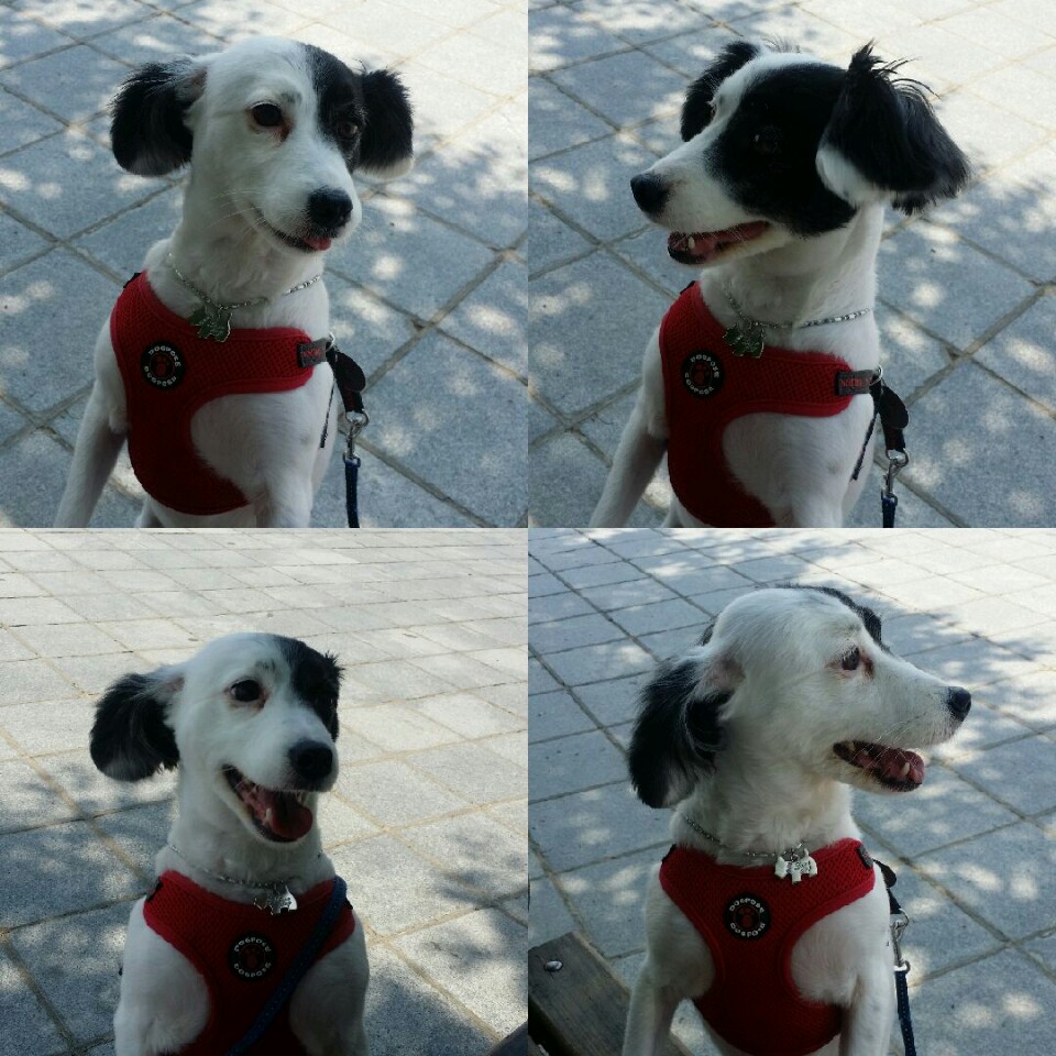 ♥두렁 두렁♥ 두렁이 소식 올립니다~~