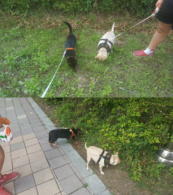 가인이 딱 3주되었어요!!