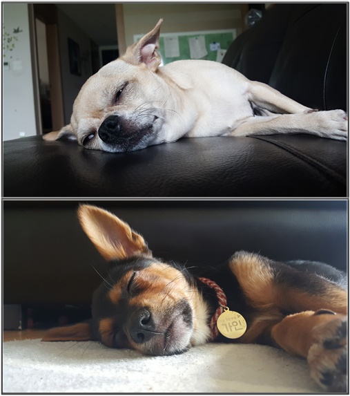 가인이 딱 3주되었어요!!