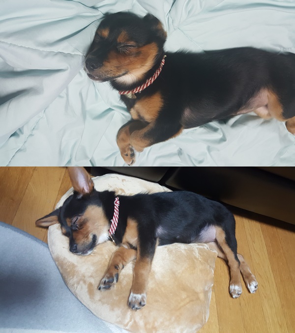 가인이 딱 3주되었어요!!