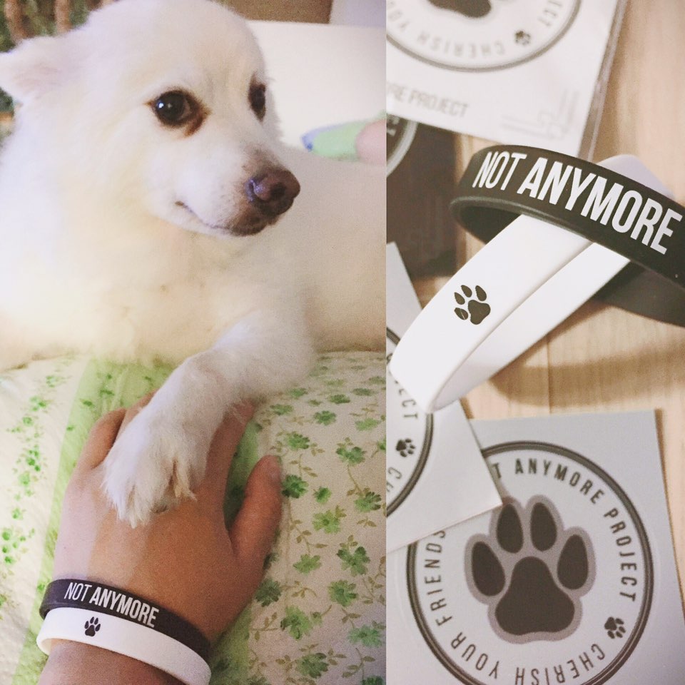 오랜만에 쭈니 왔습니다 ^^ 