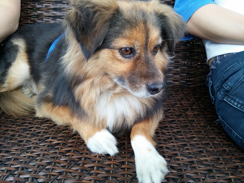 정왕이의 두번째 바닷가 나들이