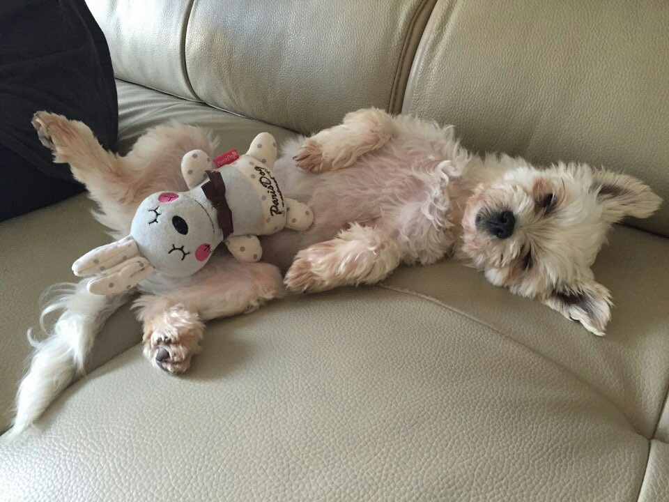 달콩(홍당무)이가 한달이 지났네용