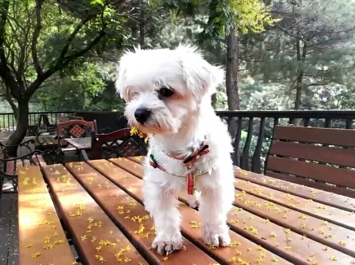 달콩(홍당무)이가 한달이 지났네용