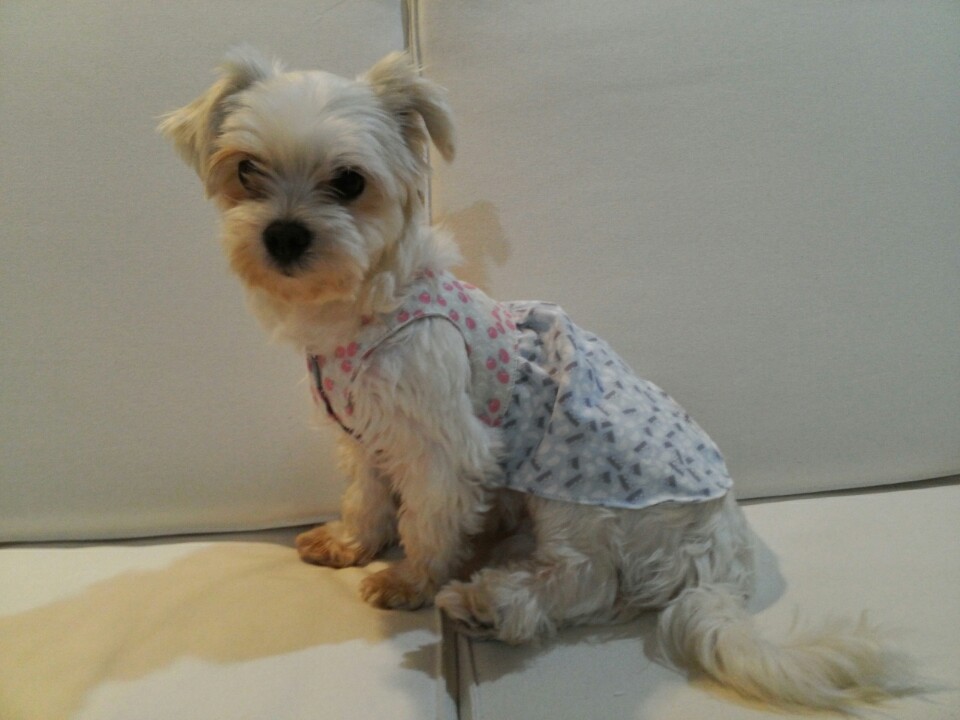 달콩(홍당무)이가 한달이 지났네용