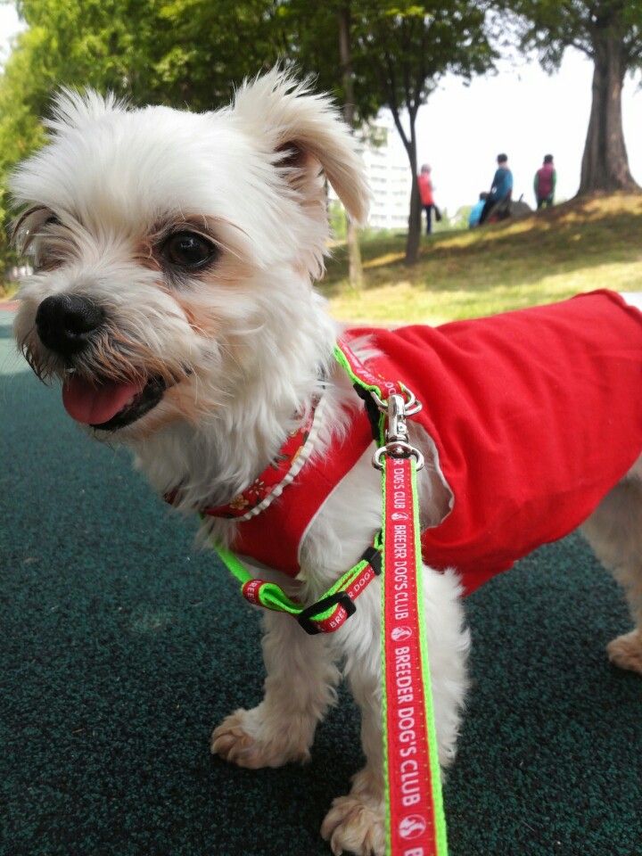 달콩(홍당무)이가 한달이 지났네용