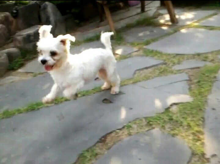 달콩(홍당무)이가 한달이 지났네용