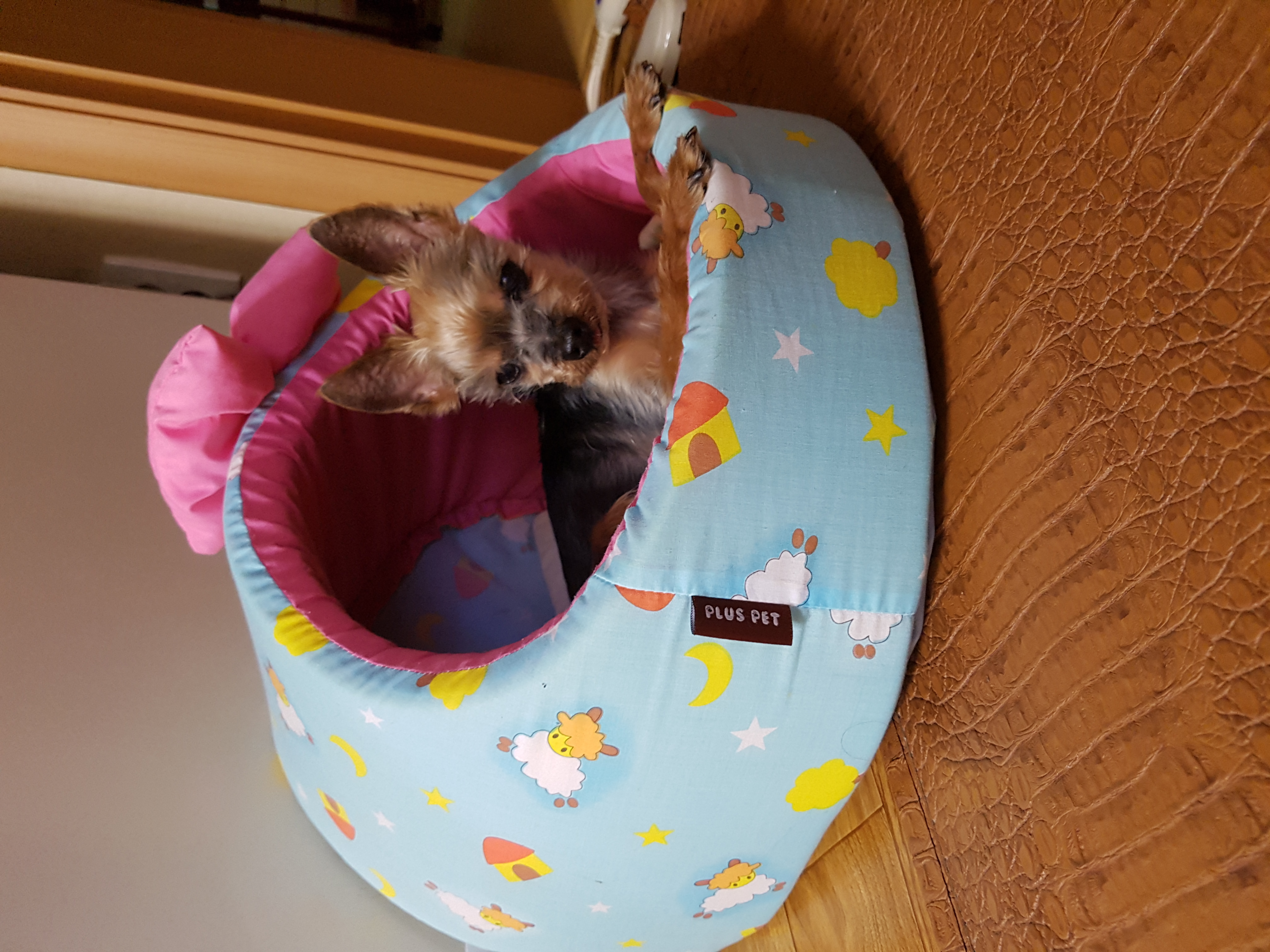 며칠전  아펐어용ㅡㅡ