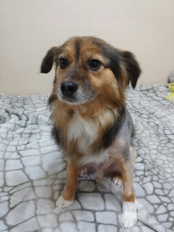 우리집 사랑둥이 정왕이~♡